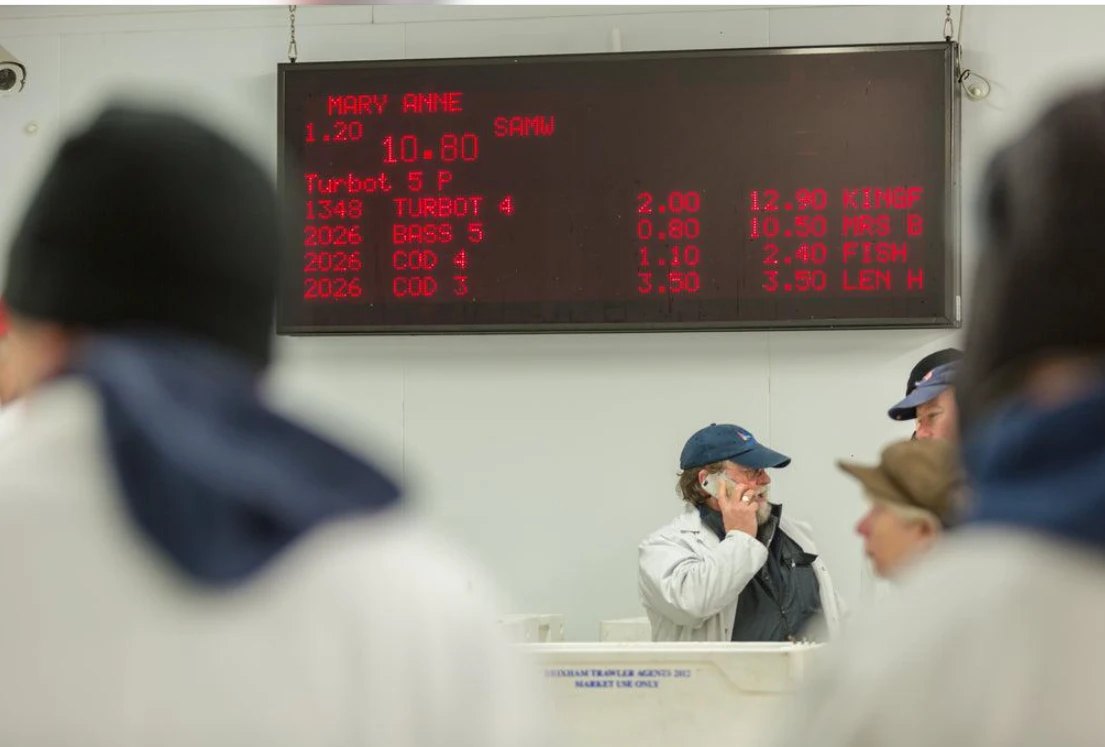 Buyers watching the red LED display of the clock auction, listing vessel, species, grade and price