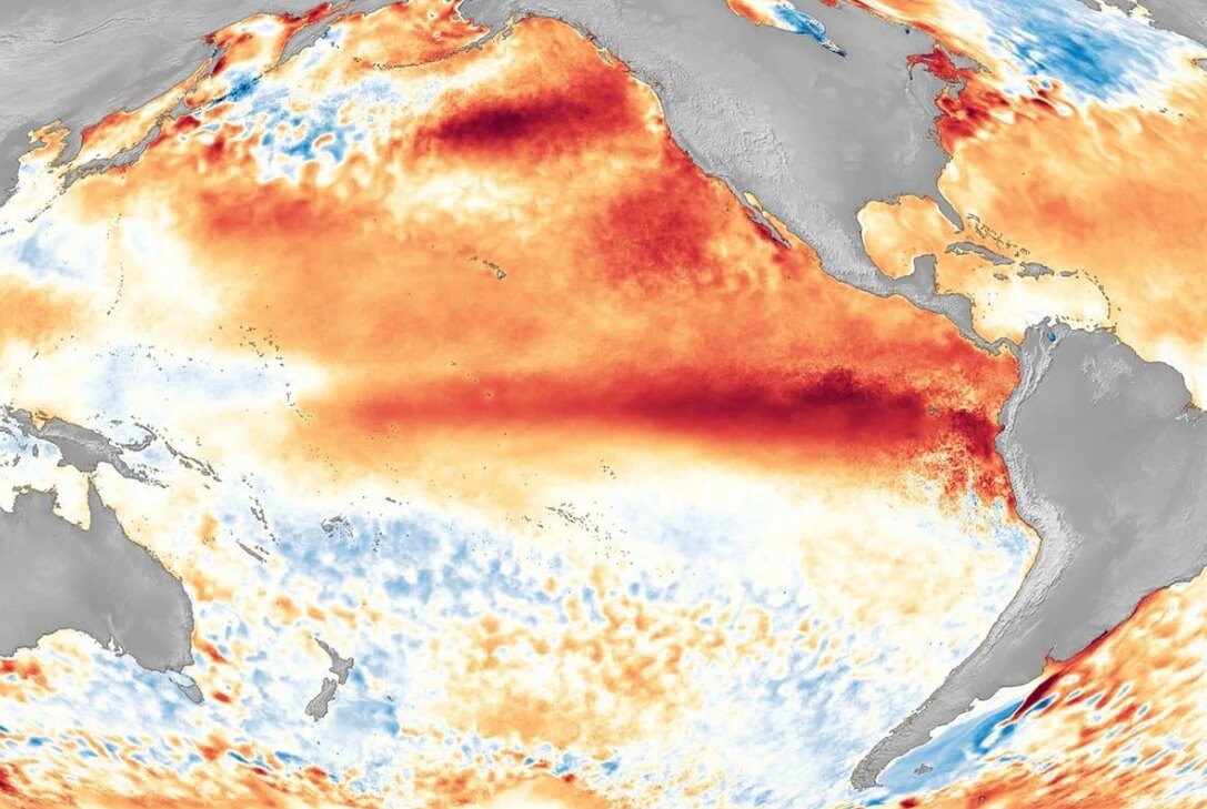 Satellite map of sea surface temperature anomalies across the Pacific, with a band of unusually warm water along the equator off South America