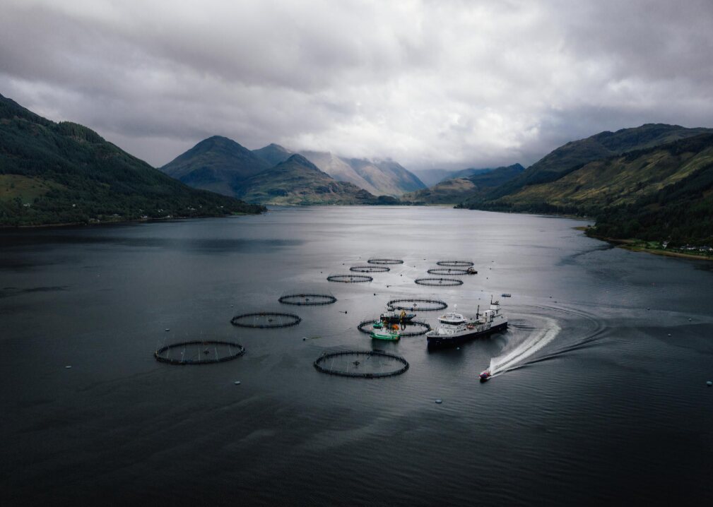 Fish farm pens in a misty fjord