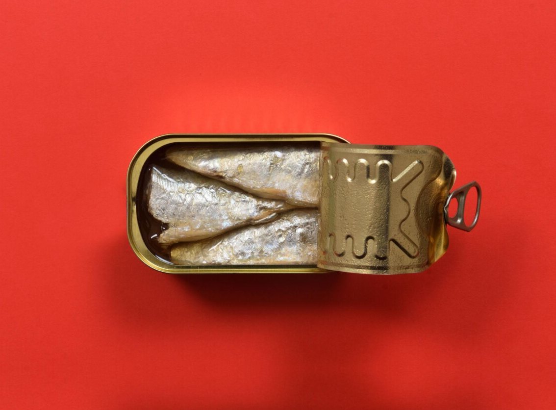 Open tin of sardines on a red background