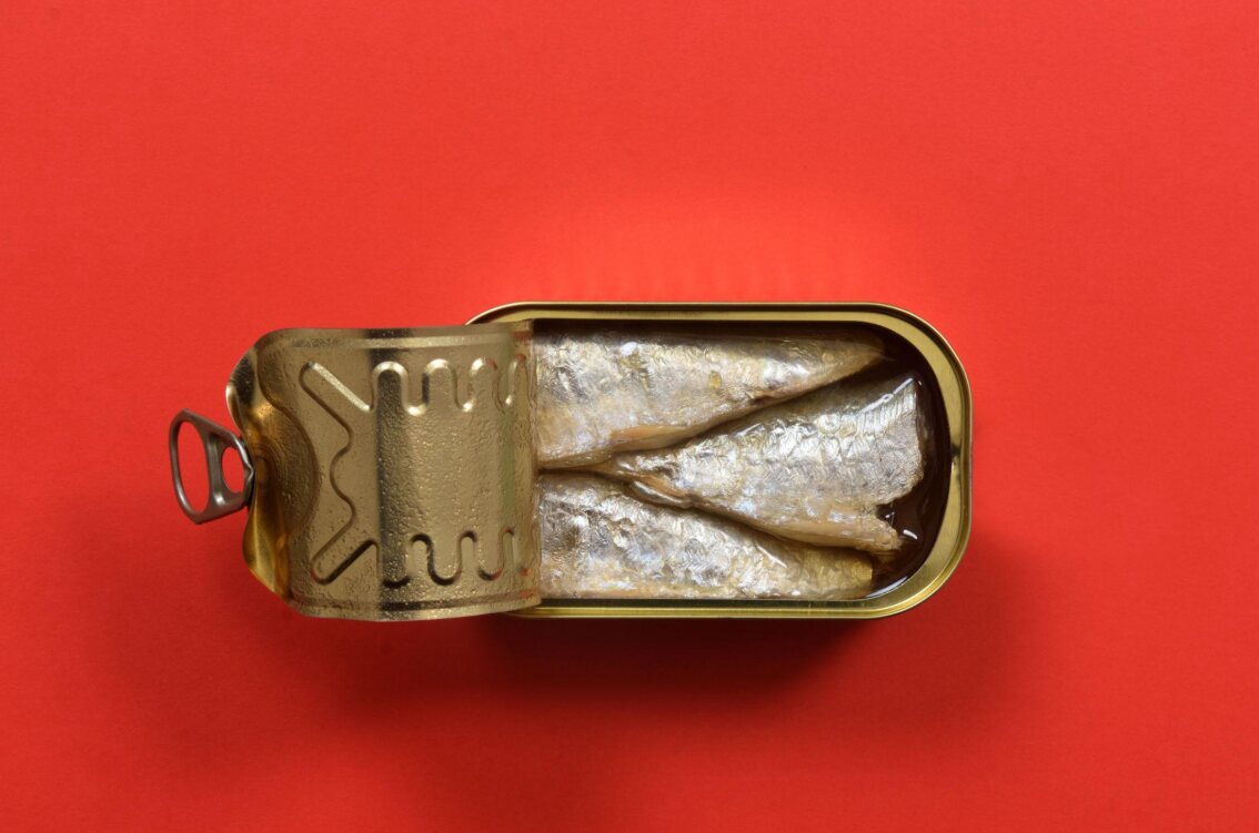 Open tin of sardines on a red background